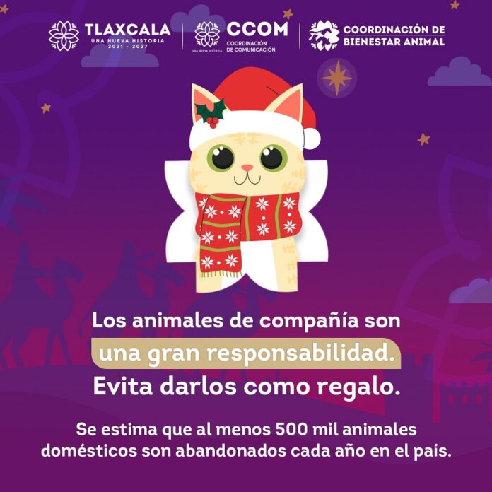 Piden a Reyes Magos Evitar Regalar Animales de Compañía - AlternativaTlx