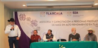 SIA Asesorará y Capacitará Productores de Maíz de Alto Rendimiento en Tlaxcala - AlternativaTlx