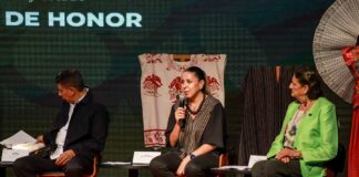 Brasil y Oaxaca, Invitados de Honor en la Edición 52 del Festival Internacional Cervantino -AlternativaTlx