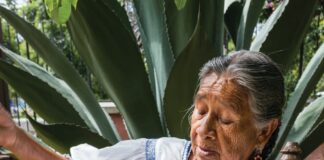 Convoca Casa de las Artesanías de Tlaxcala al III Concurso Artesanal Ixtenco 2024 -AltenativaTlx