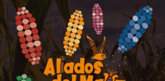 De Chile, Mole, Dulce… y 70 Diferentes Sabores de Tamales más llegarán a Los Pinos del 2 al 4 de febrero de 2024 -AlternativaTlx