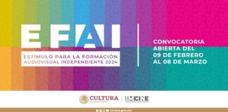 El Imcine Abre la Cuarta Convocatoria para Proyectos de Formación Audiovisual -AlternativaTlx