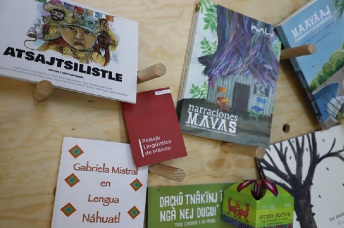 El Mpädi, Centro de Documentación Abre una Nueva Sección al Público -AlternativaTlx