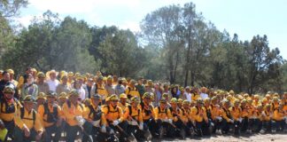 Operará Sistema de Comando de Incidentes Para Proteger los Bosques -AlternativaTlx