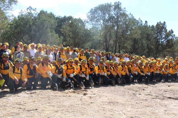Operará Sistema de Comando de Incidentes Para Proteger los Bosques -AlternativaTlx