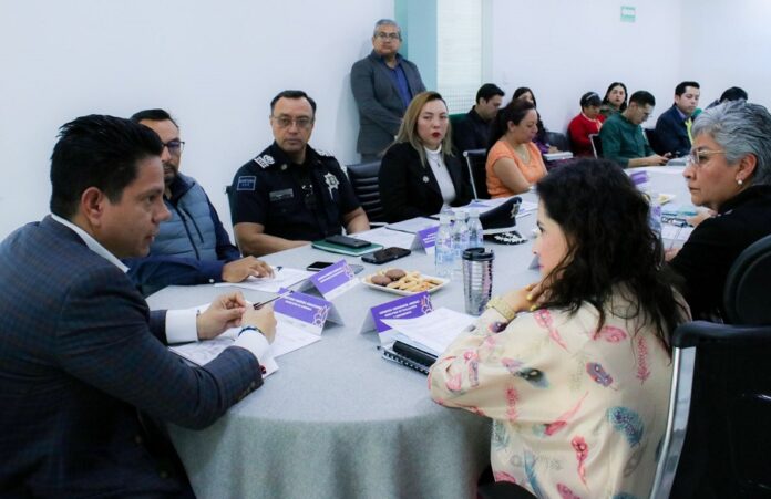 Se Incorporan Activistas en Pro de la Mujer en Áreas de Gobierno y Justicia -AlternativaTlx