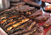 Delicias en Masa: Nopalucan Celebrará con Sabor el Día de la Quesadilla 2024 - AlternativaTlx
