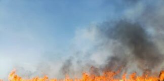 Exhorta Comité Estatal de Manejo del Fuego a Evitar Incendios Forestales -AlternativaTlx