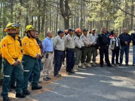 Exhorta SMA a Proteger Macizos Forestales en Época Vacacional -AlternativaTlx