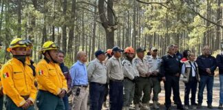 Exhorta SMA a Proteger Macizos Forestales en Época Vacacional -AlternativaTlx