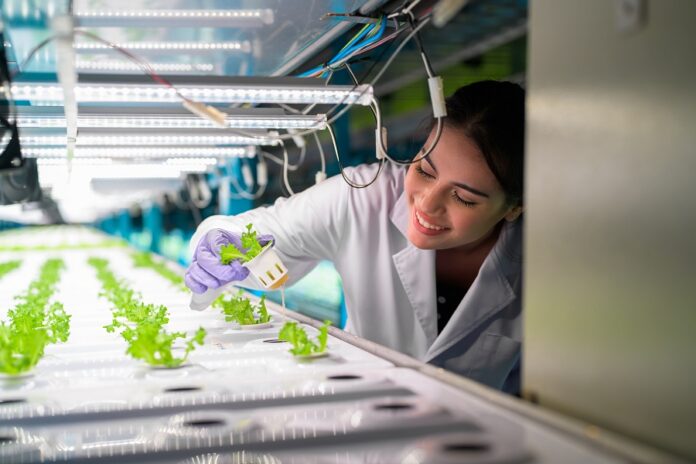 Importancia de la Investigación Temprana -AlternativaTlx