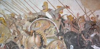 La Exposición Mosaico. Código Itálico de un Arte Atemporal Cuenta la Historia de Italia a través de un Viaje Experiencial -AlternativaTlx