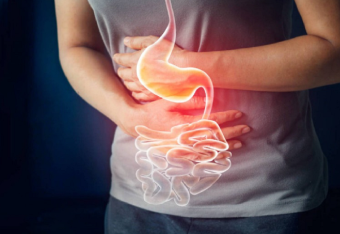 Recomienda IMSS Tlaxcala Reforzar Medidas de Higiene para Prevenir Enfermedades Gastrointestinales -AlternativaTlx