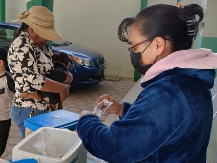 Sector Salud de Tlaxcala Aplica Vacunación Antirrábica Para Perros y Gatos -AlternativaTlx