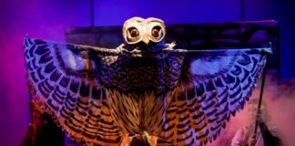 Teatro para Niñas y Niños Llega al Helénico con las Obras: Vida y gloria de una oruga Filósofa y Tzibi, el que Habla con el Camino -AlternativaTlx
