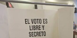 El INE Avanza en la Atención de Mexicanos en el Exterior que Buscan Ejercer su Derecho al Voto -AlternativaTlx