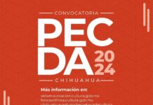 El Sistema Creación y el Gobierno de Chihuahua Publican la Convocatoria Pecda 2024 -AlternativaTlx