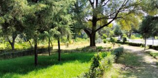 Fomenta SMA la Visita y Cuidado de Áreas Naturales en Temporada Vacacional -AlternativaTlx