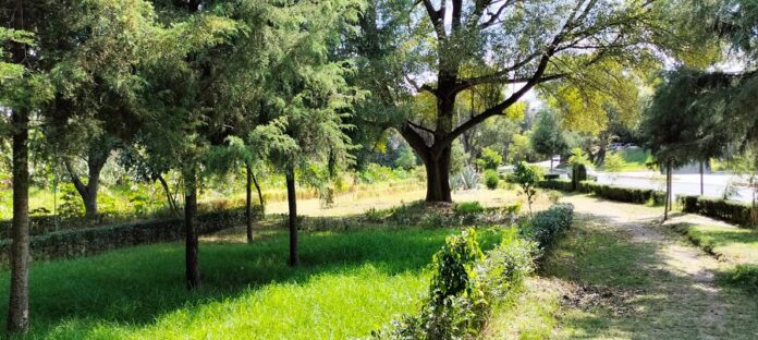 Fomenta SMA la Visita y Cuidado de Áreas Naturales en Temporada Vacacional -AlternativaTlx