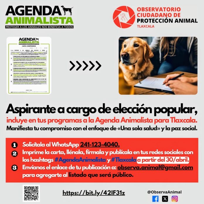 Llaman OCPA y AH a que Candidatos Locales Incluyan en Propuestas a Agenda Animalista -AlternativaTlx