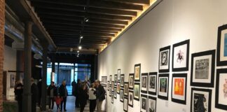 Desafiar los Límites Tradicionales del Arte el Objetivo de la Obra Multidisciplinaria de la Artista Aidé Partida -AlternativaTlx