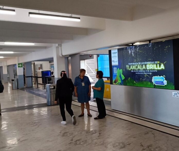 Llega Temporada de Luciérnagas 2024 a las Pantallas Digitales Del Aeropuerto Internacional de la Ciudad de México -AlternativaTlx