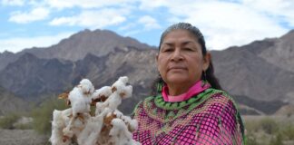 Maestra Artesana Antonia Torres González Entre Hilos de Tradición y Chaquira Cucapá -AlternativaTlx