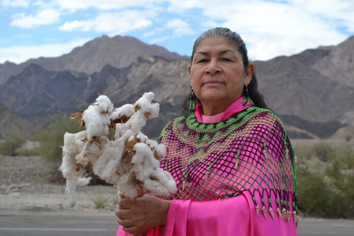 Maestra Artesana Antonia Torres González Entre Hilos de Tradición y Chaquira Cucapá -AlternativaTlx