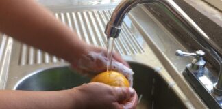 Recomienda Sector Salud Refrigerar Alimentos Ante Ola de Calor -AlternativaTlx
