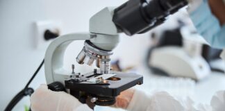 Red Cinta Impulsa Investigaciones de la UAG a Nivel Mundial -AlternativaTlx