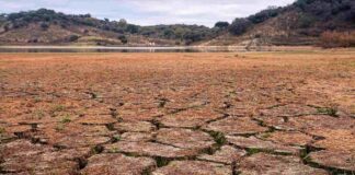 Urgen a Actuar Ante el Cambio Climático -AlternativaTlx