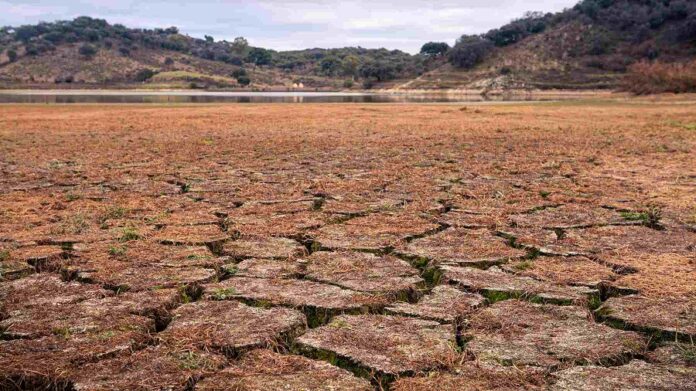 Urgen a Actuar Ante el Cambio Climático -AlternativaTlx