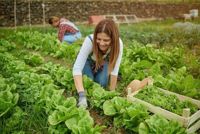 Agricultura Regenerativa, el Futuro de la Nutrición -AlternativaTlx