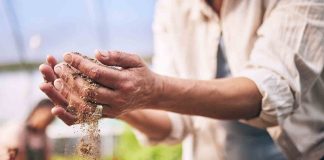 Agua, Suelo y Clima, Factores que Afectan la Actividad Agrícola -AlternativaTlx