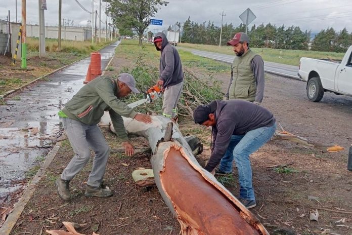 Atienden Áreas del Ayuntamiento de Huamantla Afectaciones por Lluvias Moderadas -AlternativaTlx