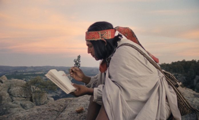 Cine Mexicano, el Gran Protagonista del 39 Festival Internacional de Cine en Guadalajara -AlternativaTlx Cine Mexicano, el Gran Protagonista del 39 Festival Internacional de Cine en Guadalajara -AlternativaTlx
