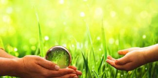 Día Mundial del Medio Ambiente Nuestra Tierra, Nuestro Futuro -AlternativaTlx
