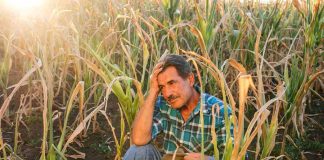 El Cambio Climático También es Factor en la Migración -AlternativaTlx