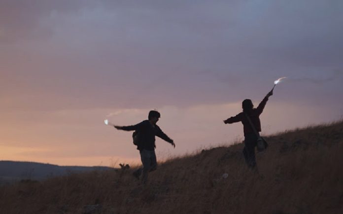 Filmoteca UNAM Celebra el Mes del Orgullo -AlternativaTlx