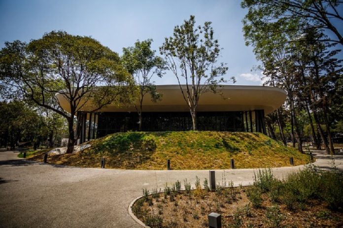 La Construcción del Proyecto Chapultepec, Naturaleza y Cultura está a Punto de Concluir -AlternativaTlx La Construcción del Proyecto Chapultepec, Naturaleza y Cultura está a Punto de Concluir -AlternativaTlx