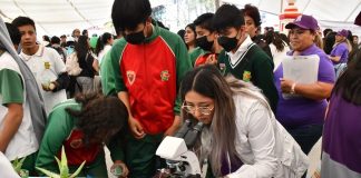 Presenta COBAT “Expo Sábila 2024” -AlternativaTlx