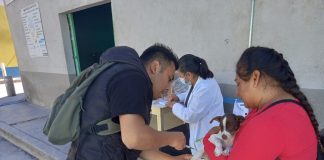 Se Mantiene Tlaxcala Como Área Geográfica Libre de Transmisión de Rabia en Animales y Humanos -AlternativaTlx