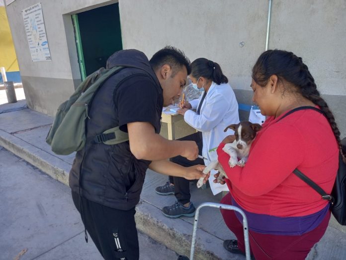Se Mantiene Tlaxcala Como Área Geográfica Libre de Transmisión de Rabia en Animales y Humanos -AlternativaTlx