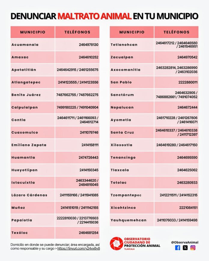 31 Municipios en los que se Pueden Recibir Denuncias por Maltrato Animal -AlternativaTlx