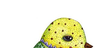 La Artista Visual Licha Matita Busca Inspirar y Transformar Comunidades a través de Ilustración y los Títeres -AlternativaTlx