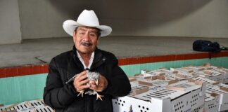 Se Fortalece la Economía y Alimentación en Huamantla a Través de la Entrega de Paquetes de Aves de Postura -AlternativaTlx