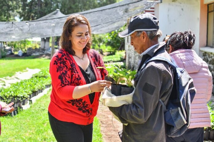 Ayuntamiento de Huamantla Entrega Mil 500 Plantas de Dalias para Impulsar la Agricultura Familiar .-AlternativaTlx