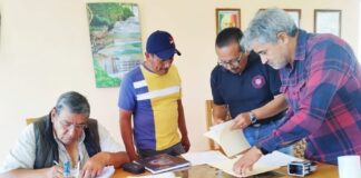 Colaborará UATx en el Estudio y Conservación de las Luciérnagas - AlternativaTlx