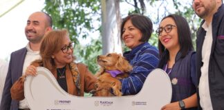 Cumple Gobernadora Compromiso con los que no Tienen Voz, los Animales Abandonados y Rescatados -AlternativaTlx