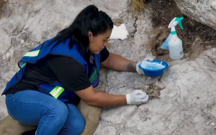 Descubren Extenso Texto Glífico Maya en la Zona Arqueológica de Cobá, en Quintana Roo -AlternativaTlx